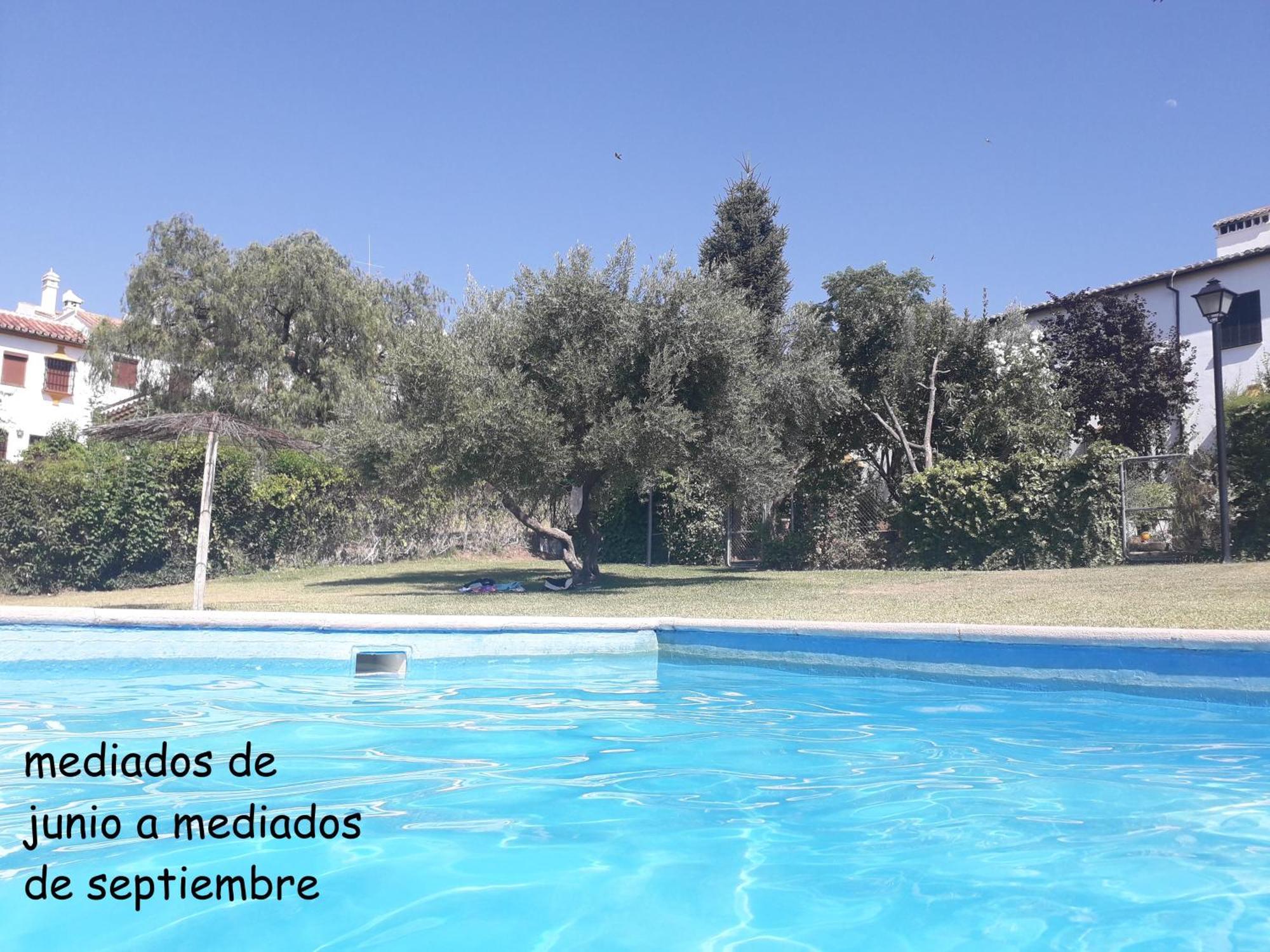 Piso Blanco Apartment Ronda Bagian luar foto